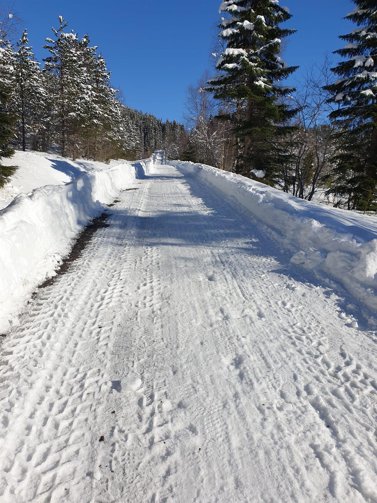 Vinterbilde av turveg som er brøyta for snø. - Klikk for stort bilete
